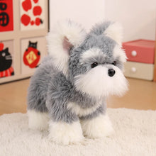 Load image into Gallery viewer, Adorable Standing Schnauzer Stuffed Animal Plush Toys - 4 Coat Colors-grey-22cm-14
