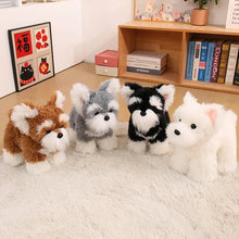 Load image into Gallery viewer, Adorable Standing Schnauzer Stuffed Animal Plush Toys - 4 Coat Colors-1
