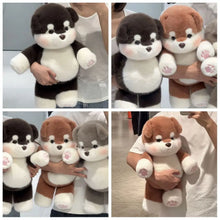 Load image into Gallery viewer, Alaskan Malamute Plush Toys - Black, Gray, and Copper / Red Coat Colors - Chubby Little Puppies-1