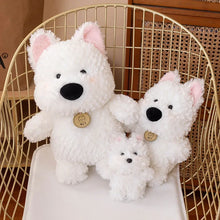 Load image into Gallery viewer, American Eskimo Dog Plush - Big Nose Cutie - 3 Sizes-8