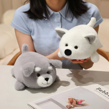 Load image into Gallery viewer, American Eskimo Dog Plush Toy - Adorable Plumpy Small Belly Flop Eskie-2