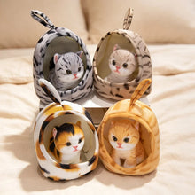 Load image into Gallery viewer, American Shorthair Cat plush - Cosy Hidey-Pod Calico Kitty-7