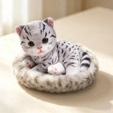 Load image into Gallery viewer, American Shorthair Cat plush - Dreamy Big-Eyes Calico Kitty-12