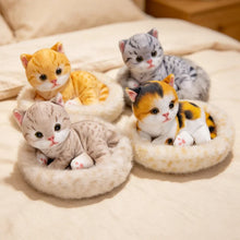 Load image into Gallery viewer, American Shorthair Cat plush - Dreamy Big-Eyes Calico Kitty-5