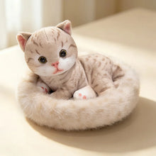 Load image into Gallery viewer, American Shorthair Cat plush - Dreamy Big-Eyes Calico Kitty-9