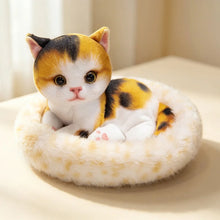 Load image into Gallery viewer, American Shorthair Cat plush - Dreamy Big-Eyes Calico Kitty-D-1