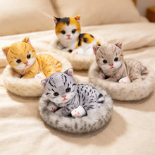 Load image into Gallery viewer, American Shorthair Cat plush - Dreamy Big-Eyes Red Tabby and White Kitty-2