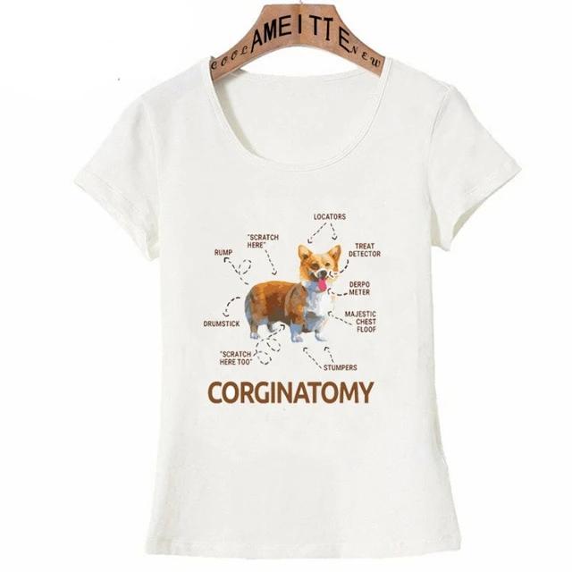 Anatomy of a Corgi Womens T ShirtApparelWhiteS