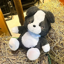 Load image into Gallery viewer, Baby Cheeks Black White Pit Bull Teddy Bear Plush Toy-8