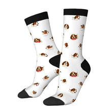 Load image into Gallery viewer, Basset Hound Socks - Playful Basset Hound Love-Wear Accessories-White-3 Black-One Size-61