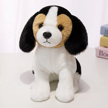 Load image into Gallery viewer, Beagle Plush - Floppy Ear Cutie - Sitting and Belly Flop Designs-22cm Beagle-1