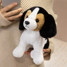 Load image into Gallery viewer, Beagle Plush - Floppy Ear Cutie - Sitting and Belly Flop Designs-2