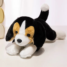 Load image into Gallery viewer, Beagle Plush - Floppy Ear Cutie - Sitting and Belly Flop Designs-30cm Beagle-7