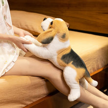 Load image into Gallery viewer, Beagle Plush Toy - Belly Flop Sploot Design-5