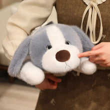 Load image into Gallery viewer, Beagle Plush Toys - Standard and Blue Tick Coats - I Smell Cookies-10
