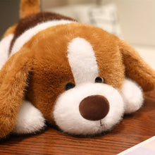 Load image into Gallery viewer, Beagle Plush Toys - Standard and Blue Tick Coats - I Smell Cookies-3