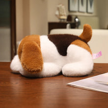 Load image into Gallery viewer, Beagle Plush Toys - Standard and Blue Tick Coats - I Smell Cookies-4