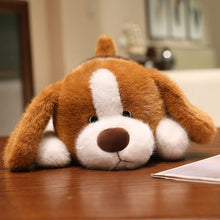 Load image into Gallery viewer, Beagle Plush Toys - Standard and Blue Tick Coats - I Smell Cookies-5