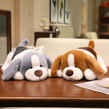 Load image into Gallery viewer, Beagle Plush Toys - Standard and Blue Tick Coats - I Smell Cookies-7