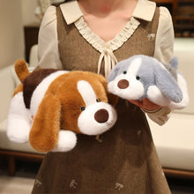 Load image into Gallery viewer, Beagle Plush Toys - Standard and Blue Tick Coats - I Smell Cookies-8