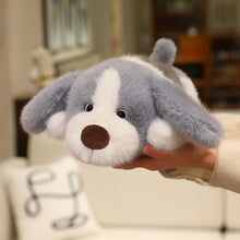 Load image into Gallery viewer, Beagle Plush Toys - Standard and Blue Tick Coats - I Smell Cookies-9