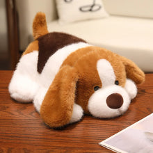 Load image into Gallery viewer, Beagle Plush Toys - Standard and Blue Tick Coats - I Smell Cookies-Brown-25cm-12