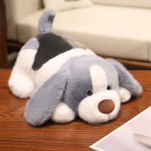 Load image into Gallery viewer, Beagle Plush Toys - Standard and Blue Tick Coats - I Smell Cookies-Grey-25cm-13