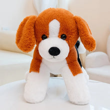 Load image into Gallery viewer, Beagle Stuffed Animal - Adorable Standing Long Legs Beagle-2