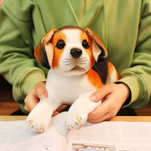Load image into Gallery viewer, Beagle Stuffed Animal - Lounge Pose - Velvet-Soft Microplush-2