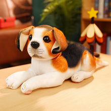 Load image into Gallery viewer, Beagle Stuffed Animal - Lounge Pose - Velvet-Soft Microplush-6-30cm-1