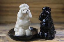 Load image into Gallery viewer, Beautiful Bull Terrier Love Salt and Pepper Shakers - Series 1-Home Decor-Bull Terrier, Dogs, Home Decor, Salt and Pepper Shakers-10