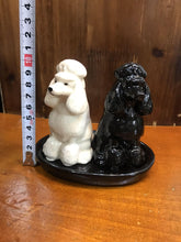 Load image into Gallery viewer, Beautiful Bull Terrier Love Salt and Pepper Shakers - Series 1-Home Decor-Bull Terrier, Dogs, Home Decor, Salt and Pepper Shakers-21