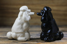 Load image into Gallery viewer, Beautiful Poodle Love Salt and Pepper Shakers - Series 1-Home Decor-Dogs, Home Decor, Poodle, Salt and Pepper Shakers-12