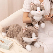 Load image into Gallery viewer, Belly Flop Brown and White Tabby Cat Stuffed Animal Plush Toy-6