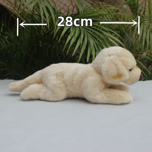 Belly Flop Golden Retriever Love Stuffed Animal Plush Toy-Stuffed Animals-Golden Retriever, Home Decor, Stuffed Animal-2