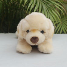 Load image into Gallery viewer, Belly Flop Golden Retriever Love Stuffed Animal Plush Toy-Stuffed Animals-Golden Retriever, Home Decor, Stuffed Animal-4