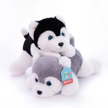 Load image into Gallery viewer, Belly Flop Grey and Black Husky Stuffed Animal Plush Toys-Stuffed Animals-Siberian Husky-1
