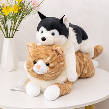 Load image into Gallery viewer, This image shows two adorable Belly Flop Husky Stuffed Animal Plush toys of different sizes kept on a table.