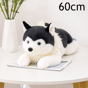 This image shows an adorable Belly Flop Husky Stuffed Animal Plush toy of black in color lying on a table also it shows the size of the husky  stuffed animal