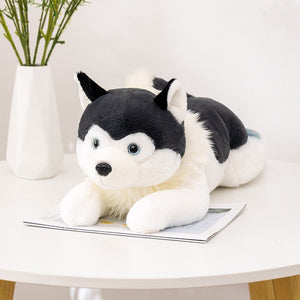 This image shows an adorable Belly Flop Husky Stuffed Animal Plush toy of black in color lying on a table.
