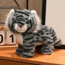 Load image into Gallery viewer, Bengal Cat Plush - Tabby Coat - Little Tiger Kitten-2