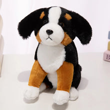 Load image into Gallery viewer, Bernese Mountain Dog Plush - Floppy Ear Cutie - Sitting and Belly Flop Designs-22cm Boone-1