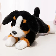 Load image into Gallery viewer, Bernese Mountain Dog Plush - Floppy Ear Cutie - Sitting and Belly Flop Designs-30cm Boone-8