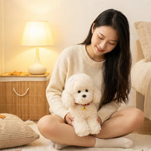 Load image into Gallery viewer, Bichon Frise Plush Toy - Cuddly Curly Fluff - 3 Sizes-Stuffed Animals-Bichon Frise,Dog Memorial Gifts,Stuffed Animal-5