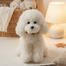 Load image into Gallery viewer, Bichon Frise Plush Toy - Cuddly Curly Fluff - 3 Sizes-Stuffed Animals-Bichon Frise,Dog Memorial Gifts,Stuffed Animal-Small: 12" (30 cm)-2