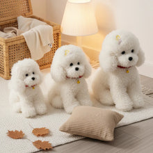 Load image into Gallery viewer, Bichon Frise Plush Toy - Cuddly Curly Fluff - 3 Sizes-Stuffed Animals-Bichon Frise,Dog Memorial Gifts,Stuffed Animal-1