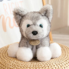 Load image into Gallery viewer, Big Baby Paws Husky Stuffed Animal Plush Toys-Stuffed Animals-Dog Memorial Gifts,Siberian Husky,Stuffed Animal-Light Grey-One Size-7