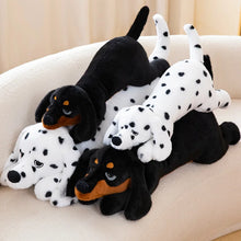 Load image into Gallery viewer, Black and Tan Dachshund Plush - Snuggly Belly Flopper-6