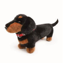 Load image into Gallery viewer, A plush dachshund dog toy with black and tan fur, wearing a red harness, photographed on a clean white background.