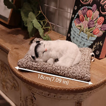 Load image into Gallery viewer, Black and White Cat Kitten Stuffed Animal - Realistic Sleeping Design - Press to Meow Sound-United States-TOYS10003-BlackHead-1